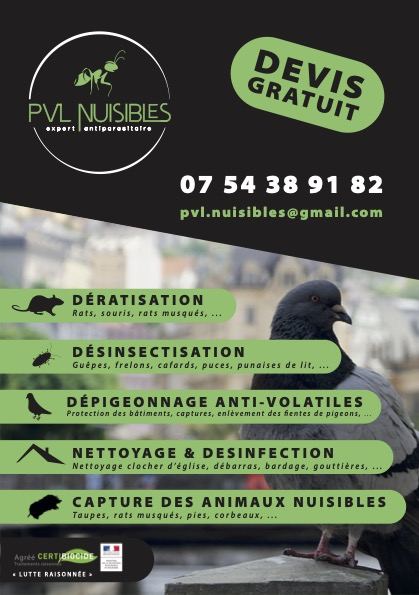Photo d'intervention